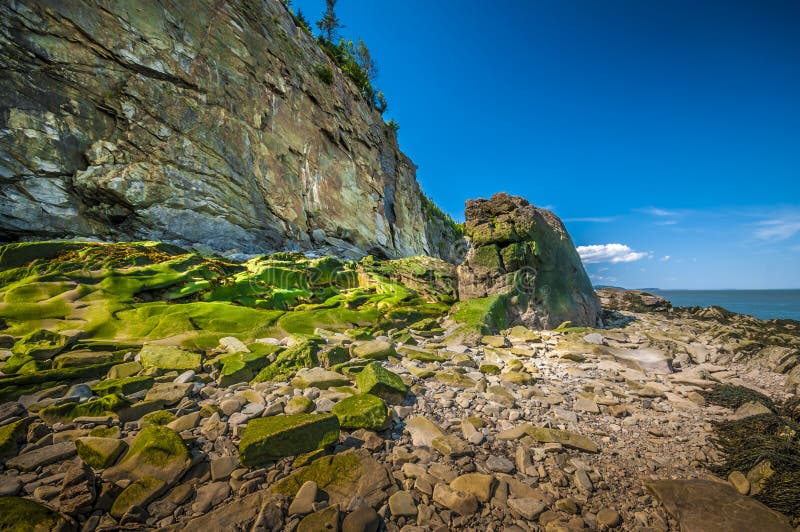 Cape Enrage