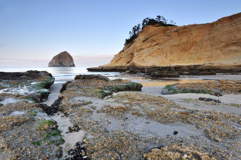 Cape Kiwanda at sunset, Oregon Coast, North America. Cape Kiwanda at sunset, Oregon Coast, North America