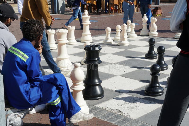 File:Chess Game with African Animals (37674559596).jpg - Wikimedia Commons