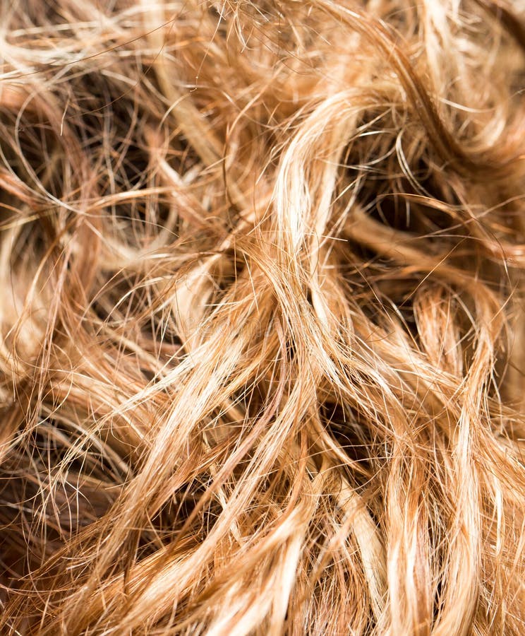 Capelli come fondo Struttura immagini stock libere da diritti Capelli come fondo Struttura immagini stock libere da diritti