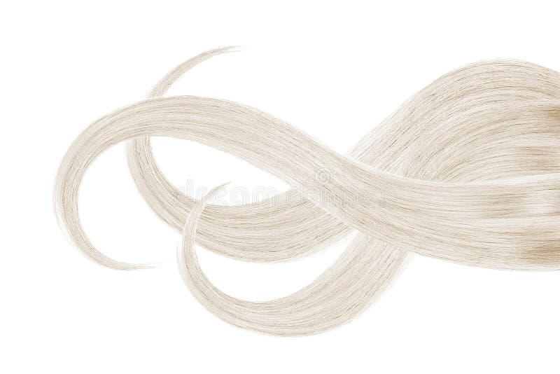 Capelli grigi, isolati su fondo bianco Coda di cavallo ondulata lunga immagine stock Capelli grigi, isolati su fondo bianco Coda di cavallo ondulata lunga immagine stock