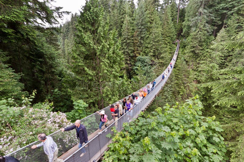 Capilano Suspension Bridge, Vancouver, Canada Editorial Image Image