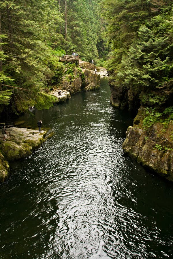 Capilano River, Vancouver, Canada Stock Image - Image of capilano, park ...