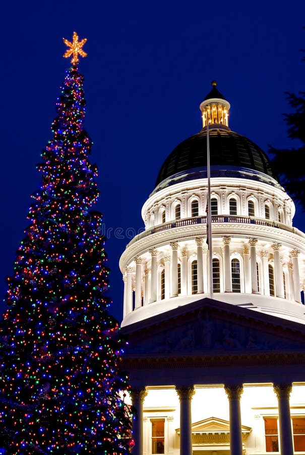 Capitol Christmas Tree