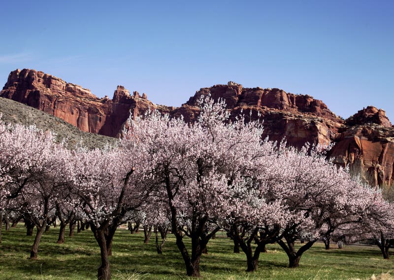 Capitol Reef National Park