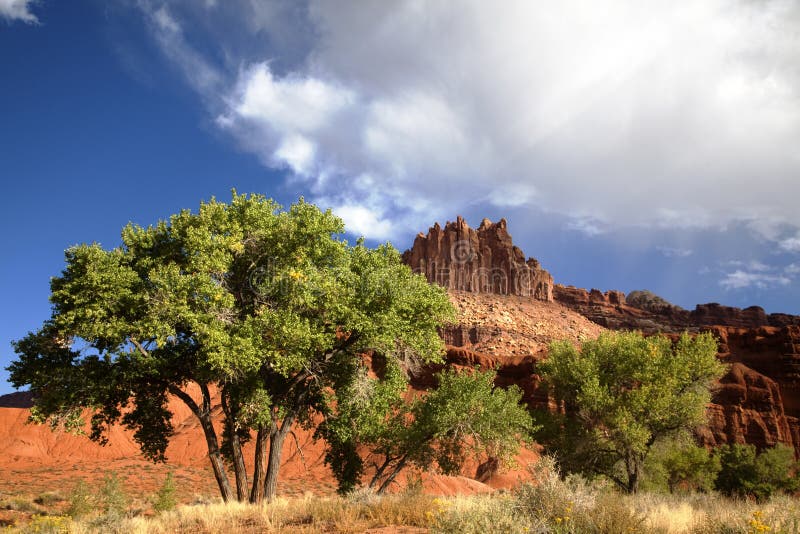 Capitol Reef National Park