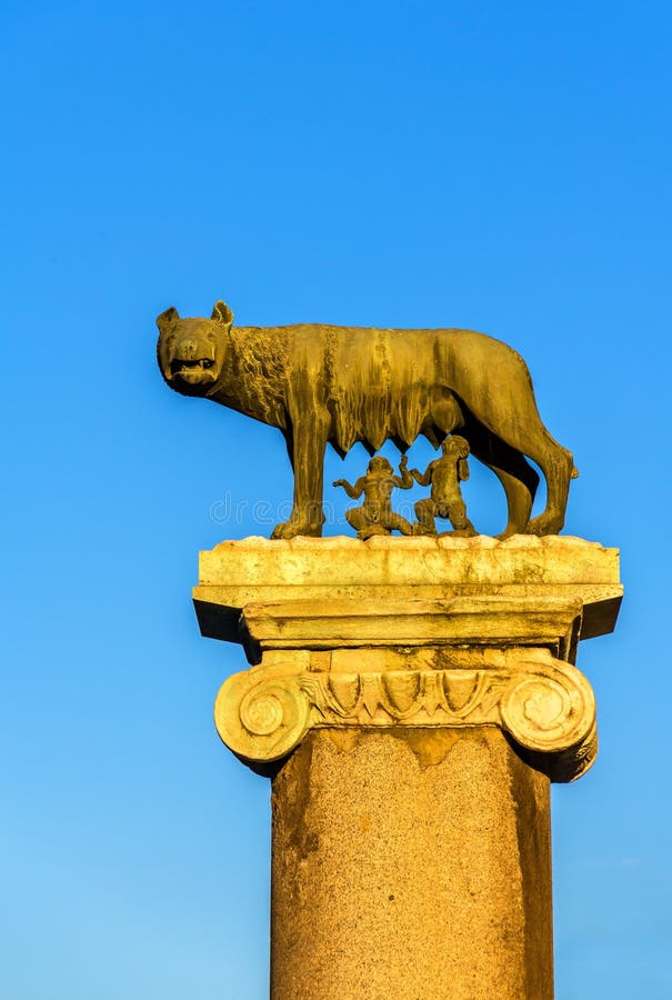 409 Statue Capitoline Wolf Rome Stock Photos - Free & Royalty-Free ...
