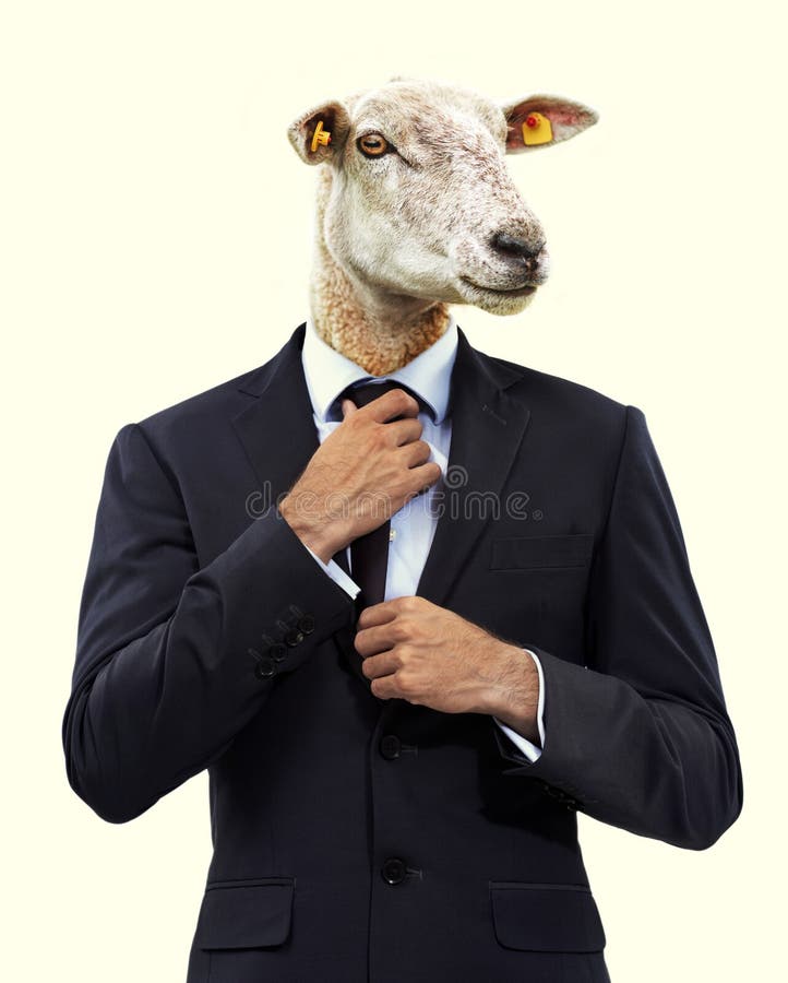 Business, sheep head and man in suit, surreal and workaholic on yellow studio background. Follower, employee and consultant with fashion or forced labour with abstract art and statement on capitalism. Business, sheep head and man in suit, surreal and workaholic on yellow studio background. Follower, employee and consultant with fashion or forced labour with abstract art and statement on capitalism.