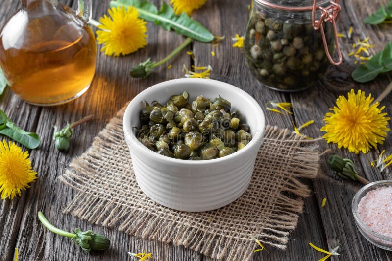 Capperi falsi fatti dai germogli del dente di leone in una ciotola immagine stock libera da diritti Capperi falsi fatti dai germogli del dente di leone in una ciotola immagine stock libera da diritti