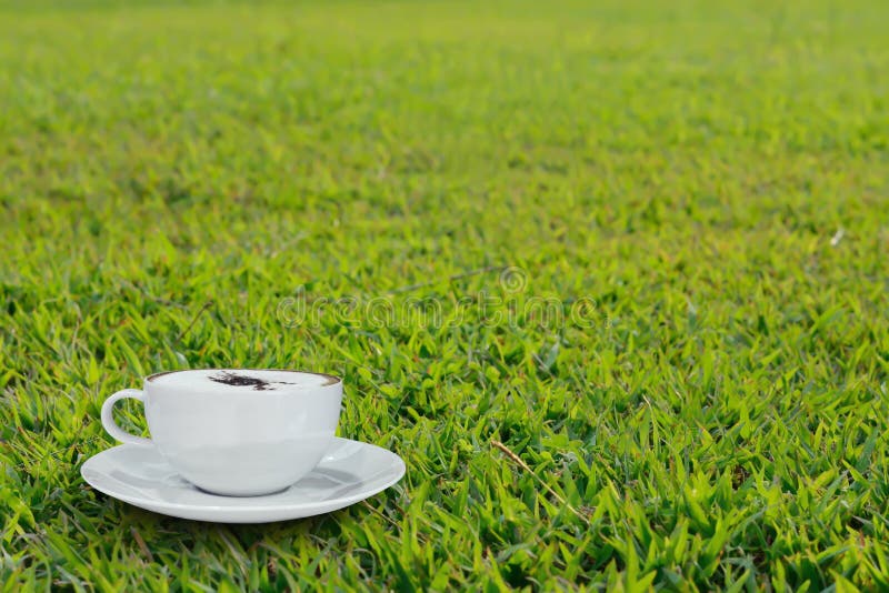 Cappuccino Coffee On Green Grass In Morning Time Stock Photo Image of