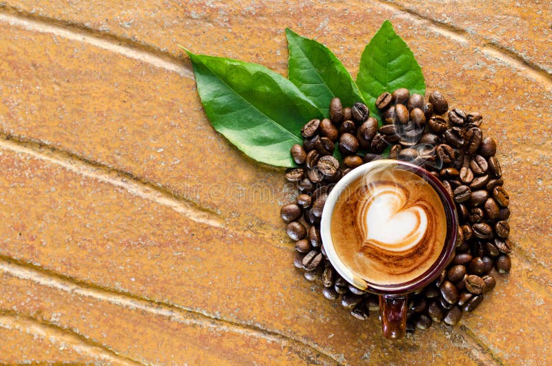 Cappuccino Coffee in a Mug with Coffee Bean Stock Image Image of