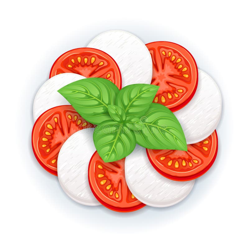 Caprese Salad Vector - Mozzarella, Tomato and Basil Leaves. Stock