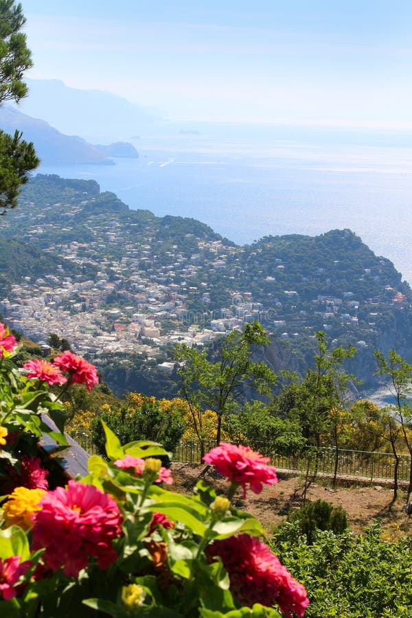 Capri stock photo. Image of trees, lush, island, vegetation - 59802664