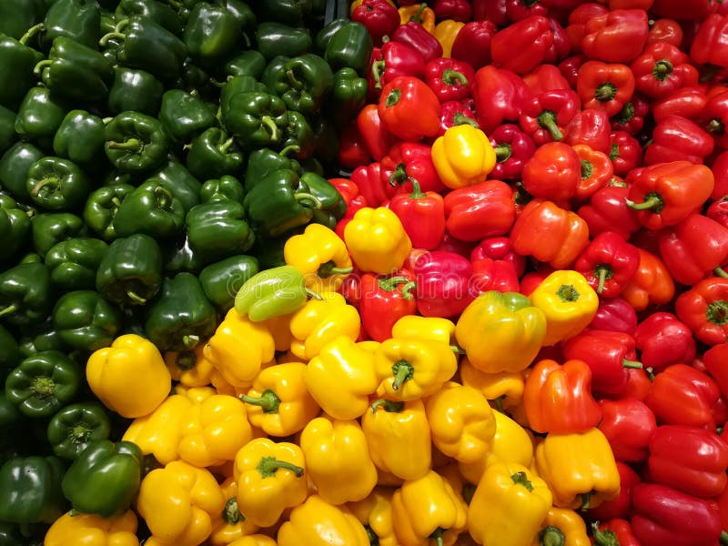 Capsicum of different colours