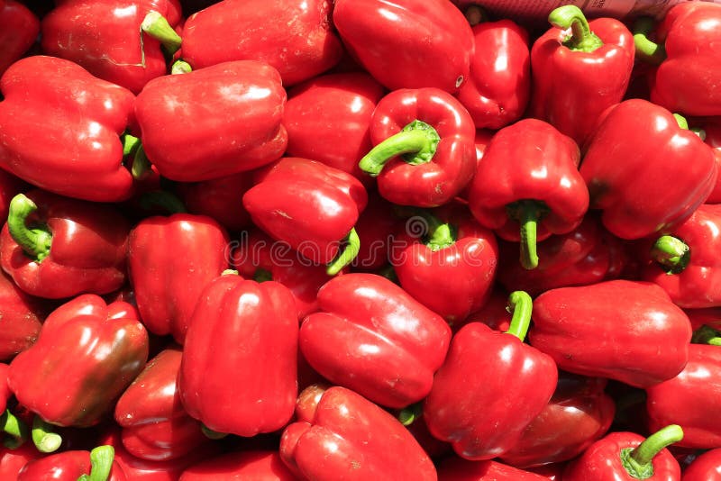 Capsicum group stock image. Image of color, organic, paprika 71391809