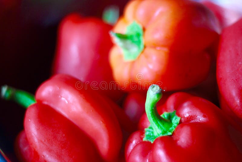 Capsicums rossi fotografie stock libere da diritti Capsicums rossi fotografie stock libere da diritti