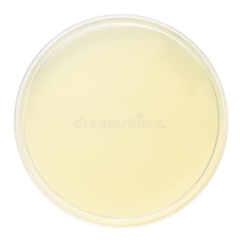 Capsula di Petri in bianco