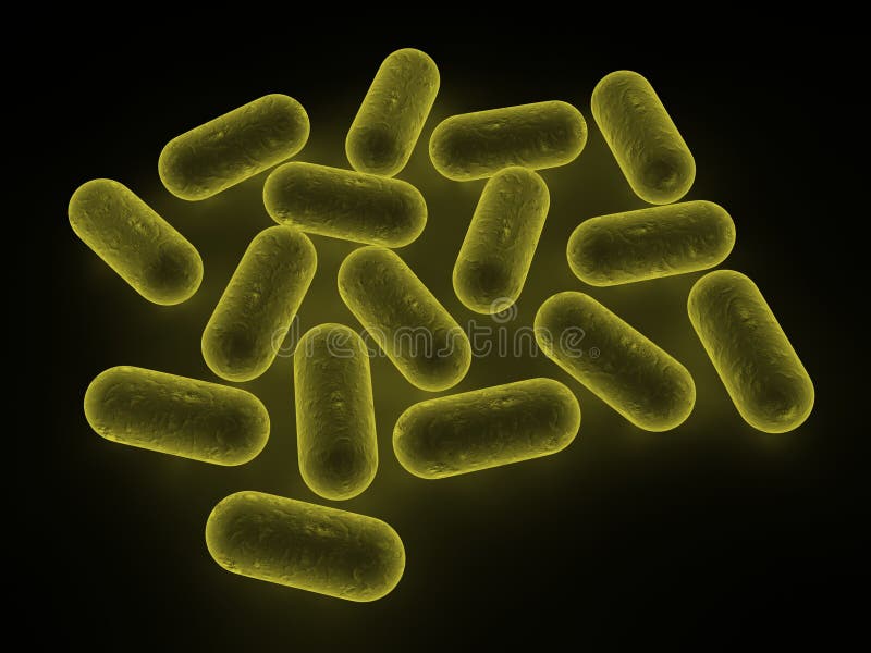 Capsule Bacteria stock illustration. Illustration of biology 25165174