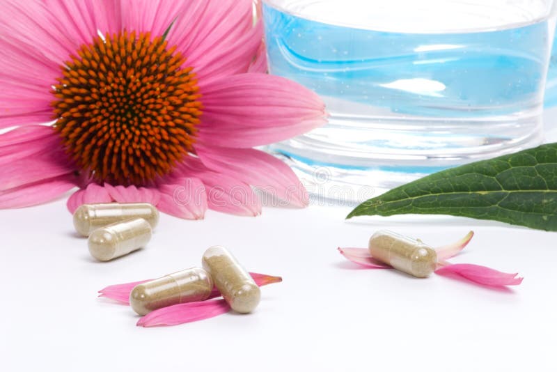 Capsule del Echinacea fotografie stock libere da diritti Capsule del Echinacea fotografie stock libere da diritti