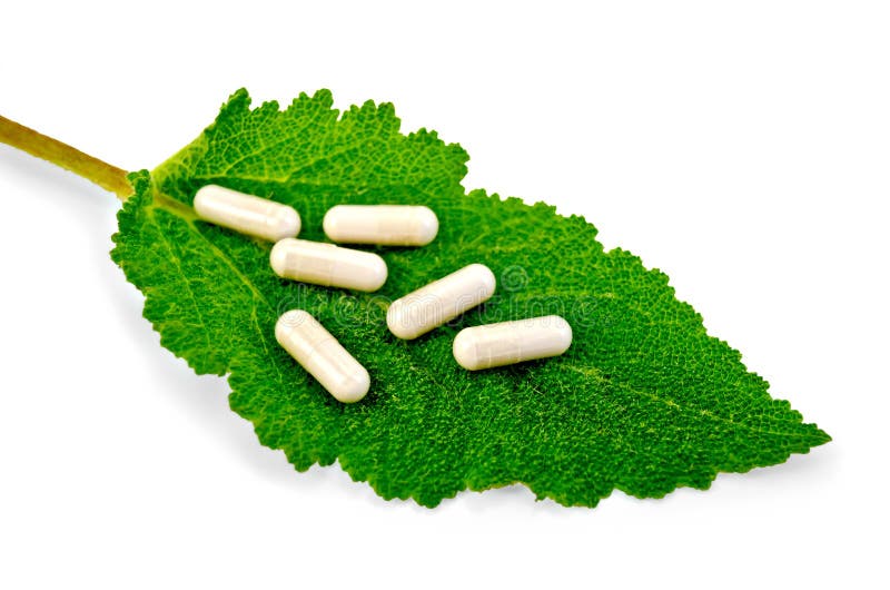 Capsules Beige on Green Leaf Sage Stock Image Image of herb
