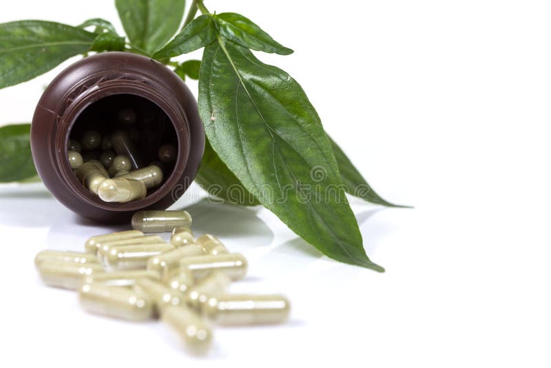 Capsules de phytothérapie sur le fond blanc avec l'espace de copie photographie stock Capsules de phytothérapie sur le fond blanc avec l'espace de copie photographie stock