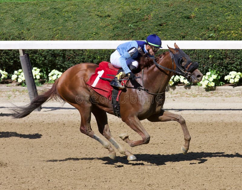 Captain Bombastic winning his maiden over a group of high priced prospects in his first start at Belmont Park. First Deputy and Hellbender finished second and third as this chestnut two year old drew away from the competition with jockey Irad Ortiz jr. in the saddle.

Fleetphoto. Captain Bombastic winning his maiden over a group of high priced prospects in his first start at Belmont Park. First Deputy and Hellbender finished second and third as this chestnut two year old drew away from the competition with jockey Irad Ortiz jr. in the saddle.

Fleetphoto