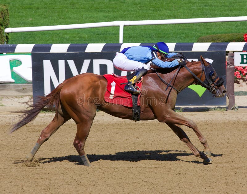 Captain Bombastic winning his maiden over a group of high priced prospects in his first start at Belmont Park. First Deputy and Hellbender finished second and third as this chestnut two year old drew away from the competition with jockey Irad Ortiz jr. in the saddle.

Fleetphoto. Captain Bombastic winning his maiden over a group of high priced prospects in his first start at Belmont Park. First Deputy and Hellbender finished second and third as this chestnut two year old drew away from the competition with jockey Irad Ortiz jr. in the saddle.

Fleetphoto