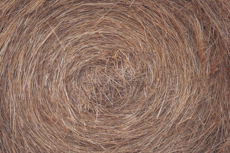 Captivating patterns of dried grass create a mesmerizing swirling design in a sunlit field royalty free stock photography