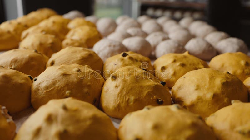 Captura de pantalla de los panecillos redondos recién horneados en la panadería