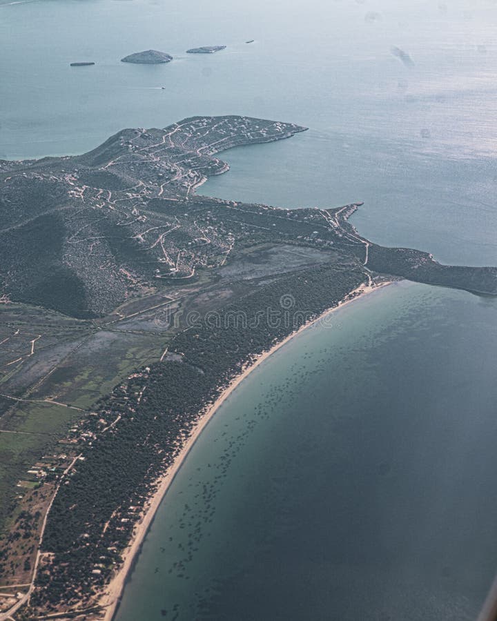 Capture aérienne verticale de l'arbre recouvert de la côte par l'océan calme images stock