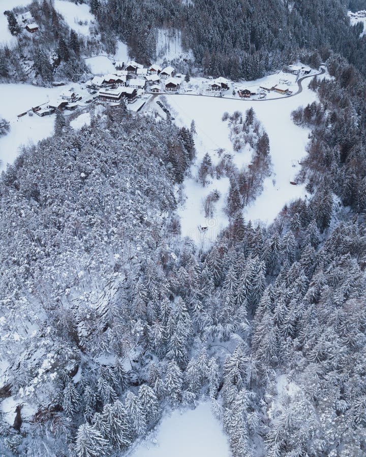 Capture d'écran des maisons entourées de pins recouverts de neige sur un champ photographie stock