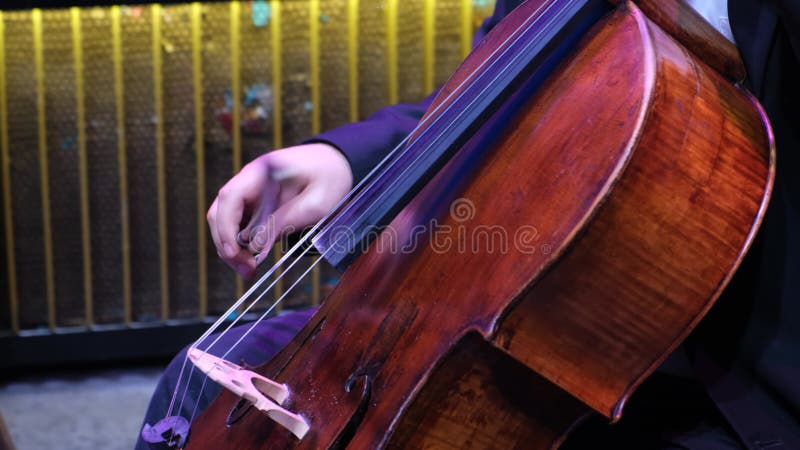 Capture d'écran d'un musicien de l'Orchestre jouant sur le violon clips vidéos