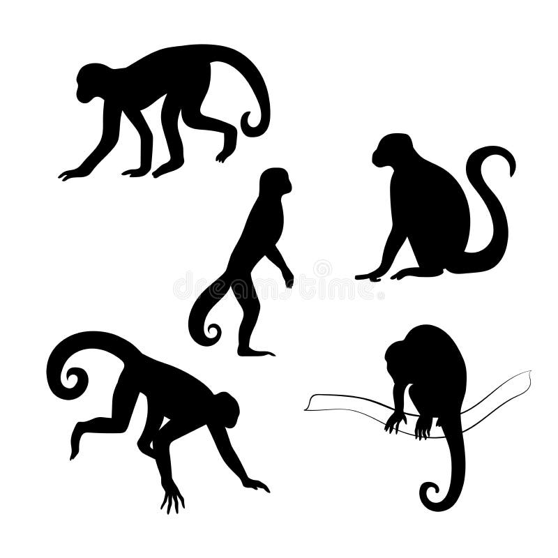 Capuchin monkey vector silhouettes