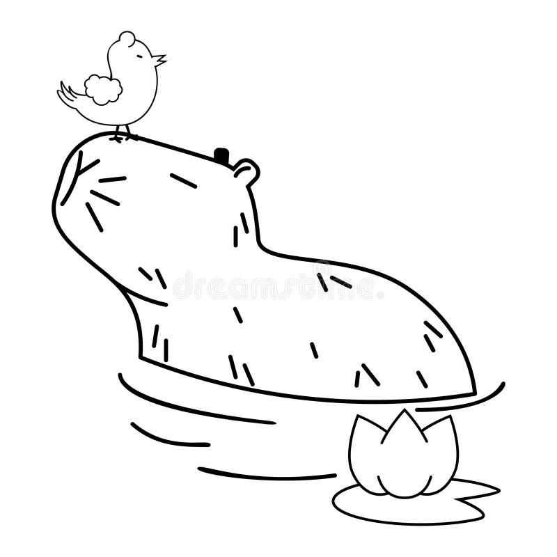 Capybara with his bird friend  Capybara, Cute drawings, Cute doodles