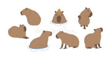 Capybara Largest Rodent Stock Illustrations – 138 Capybara Largest