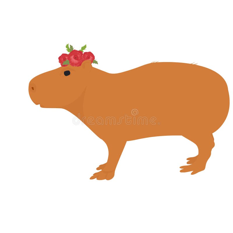 Vetores de Capivara Ilustração De Cores Vetoriais De Capivara