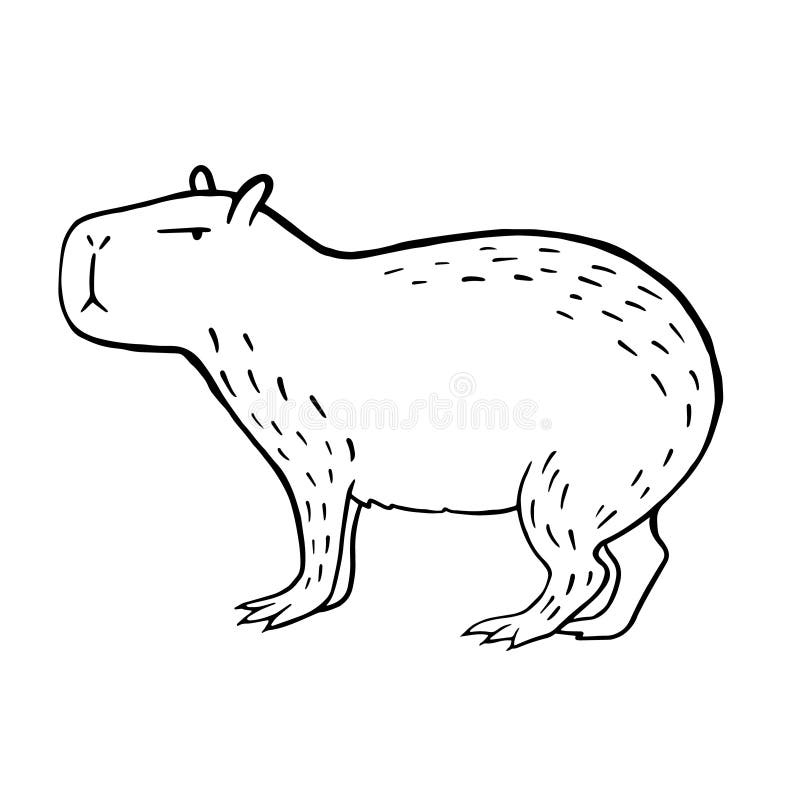 Capybara PNG - capybara-maps capybara-coloring-page capybara