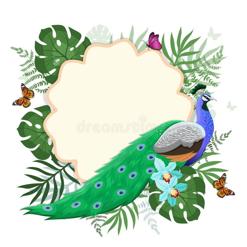 Capítulo con el pavo real, las plantas tropicales y las mariposas Gr?ficos de vector stock de ilustración Capítulo con el pavo real, las plantas tropicales y las mariposas Gr?ficos de vector stock de ilustración