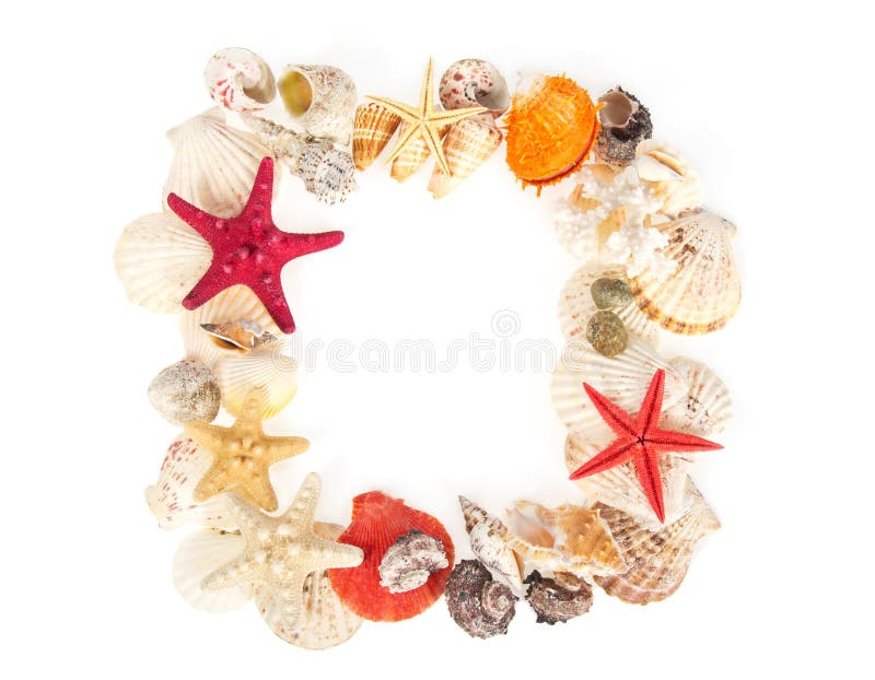 Capítulo de conchas de berberecho del mar y de las estrellas imagen de archivo Capítulo de conchas de berberecho del mar y de las estrellas imagen de archivo