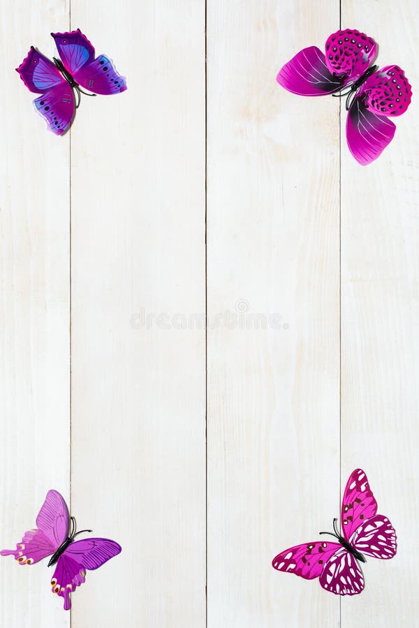 Frame of butterfly decoration on the white wooden background. Frame of butterfly decoration on the white wooden background