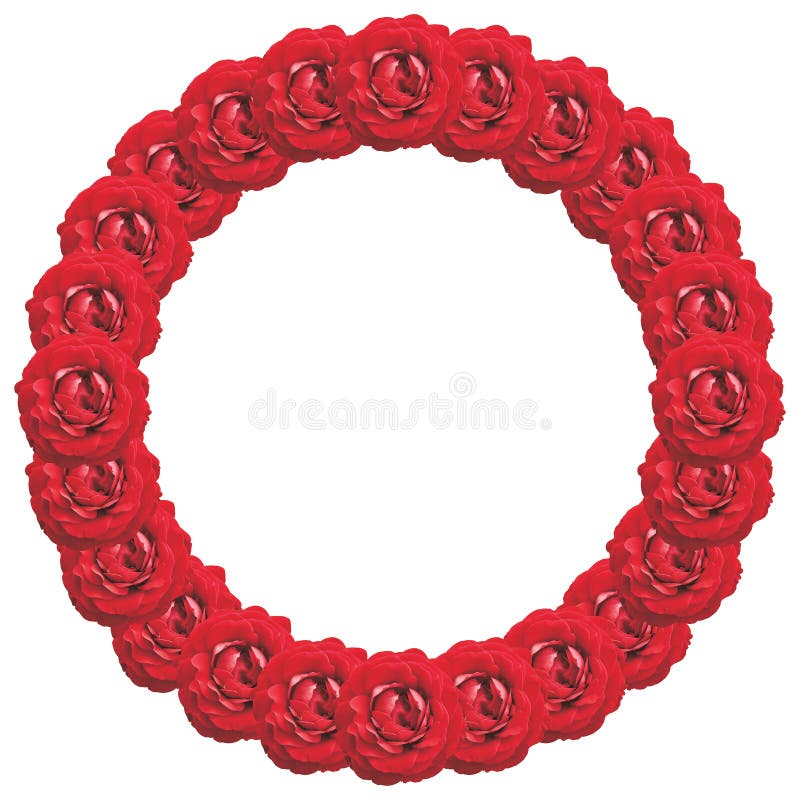 Frame of red roses. Ring shaped on white. Frame of red roses. Ring shaped on white.