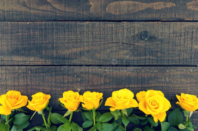 Frame of yellow roses on rustic wooden background. Valentine's Day and Mother's Day background. Holiday mock up. Top view. Frame of yellow roses on rustic wooden background. Valentine's Day and Mother's Day background. Holiday mock up. Top view