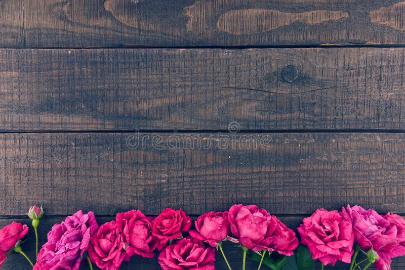 Frame of roses on dark rustic wooden background. Spring flowers. Spring background. Valentine's Day and Mother's Day background. Holiday mock up. Top view. Frame of roses on dark rustic wooden background. Spring flowers. Spring background. Valentine's Day and Mother's Day background. Holiday mock up. Top view.