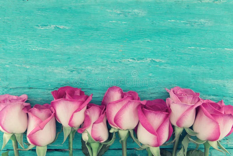 Frame of pink roses on turquoise rustic wooden background with copy space for message. Greeting card with flowers for Valentine`s Day, Woman`s Day and Mother`s Day. Top view. Frame of pink roses on turquoise rustic wooden background with copy space for message. Greeting card with flowers for Valentine`s Day, Woman`s Day and Mother`s Day. Top view