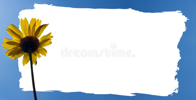 Capítulo de una flor del resorte imagen de archivo libre de regalías Capítulo de una flor del resorte imagen de archivo libre de regalías