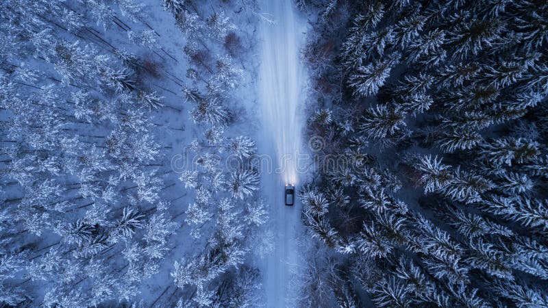 Car driving on snowy country road through fir forest at night. High beam on.	Beautiful winter forest. Car driving on snowy country road through fir forest at night. High beam on.	Beautiful winter forest.