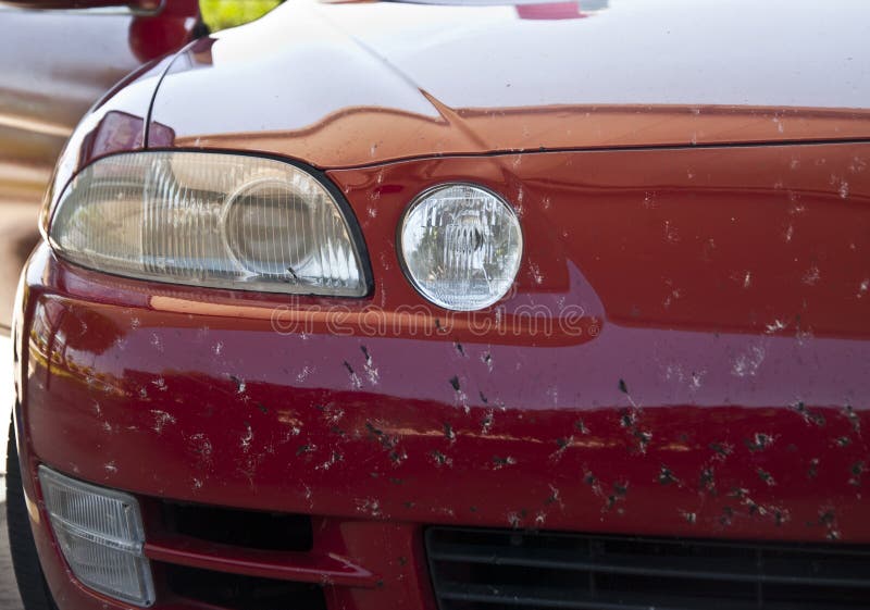 Červené Moderní sportovní Auto Pokryté přední nárazník na něž v mrtvé lásce chyby.