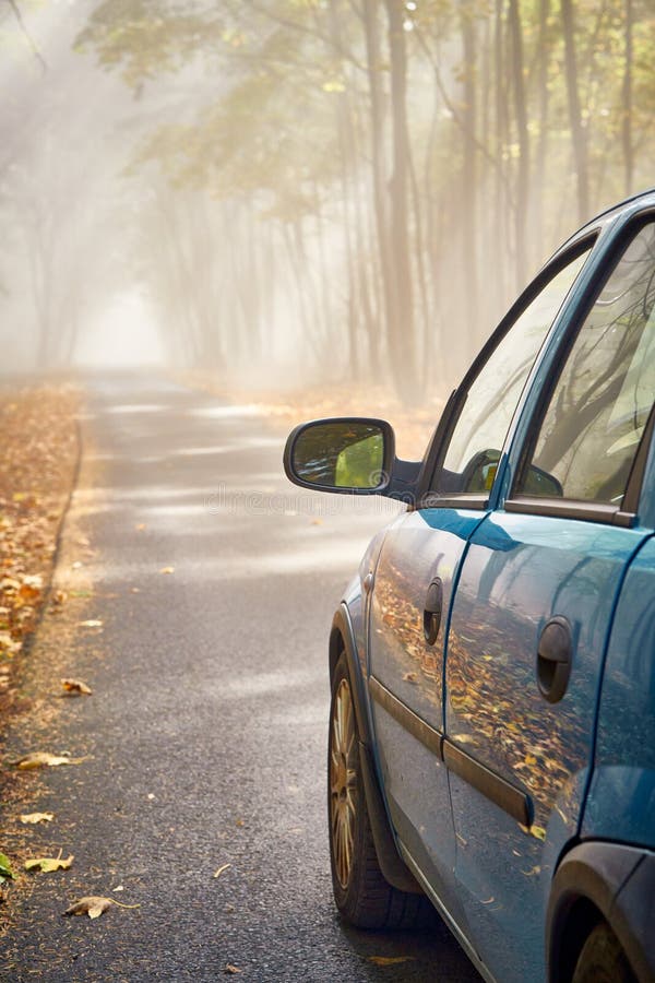 Car Driving into Mist Forest Stock Photo Image of forest, sunlight