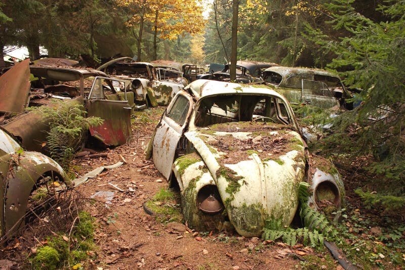 Old forgotten car graveyard or junkyard in the middle of a forrest with volkswagen beetle in front. Old forgotten car graveyard or junkyard in the middle of a forrest with volkswagen beetle in front