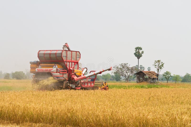 Car harvest stock photo. Image of harvesting, rice, fill 29253480